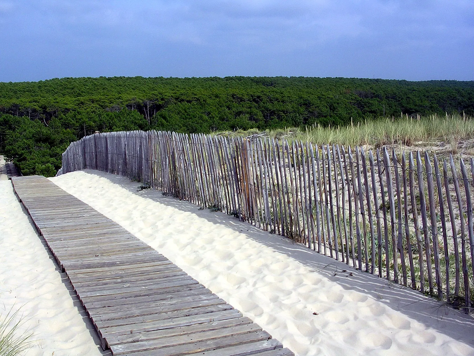 Landes
